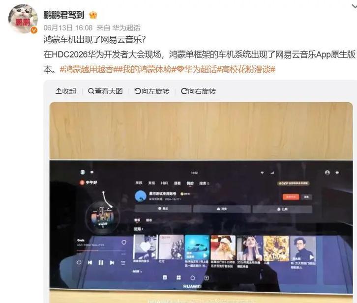 Linux 版求助，歌词翻译现在还有吗，咋看不到了