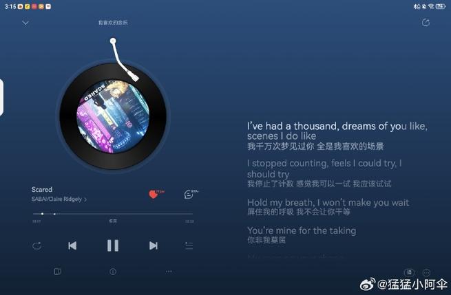 UWP 版：曲风漫游现在还有吗，咋看不到了