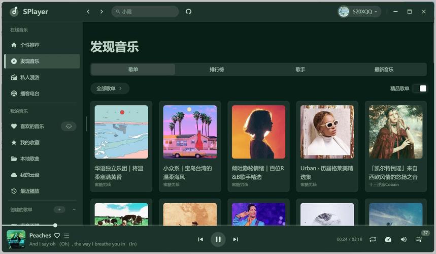 iPad求助，听歌识曲现在还有吗，咋看不到了
